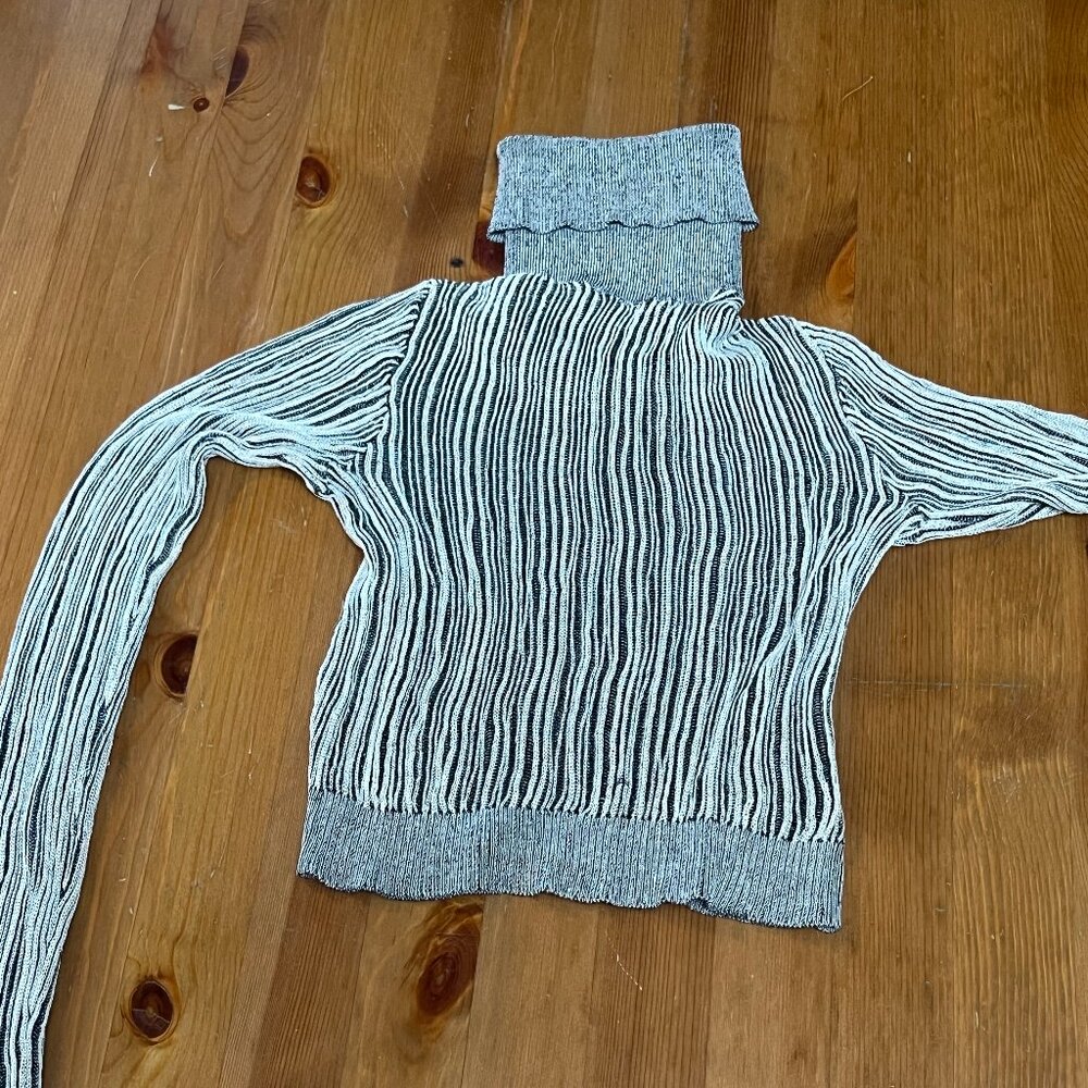Zara cropped meshy turtleneck